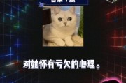 娱乐圈吃瓜游戏有哪些,揭秘明星幕后故事与娱乐八卦大揭秘